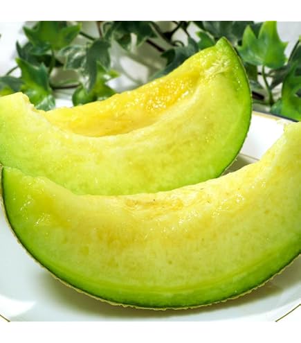 Amazon.co.jp: 国華園 メロン 8kg ゆうかメロン 青森産 感動の甘さ